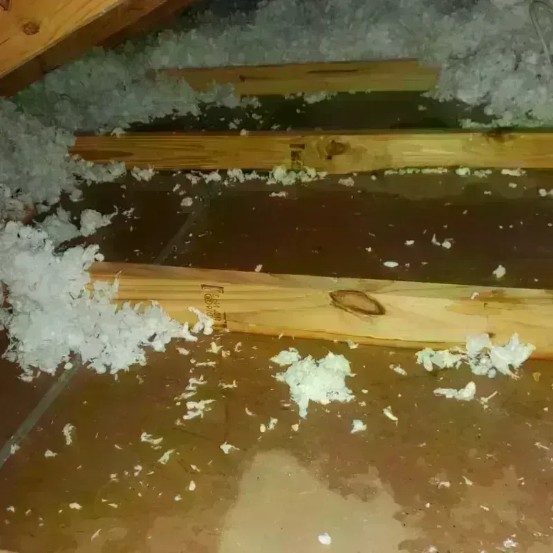 Attic Water Damage in Horatio, AR