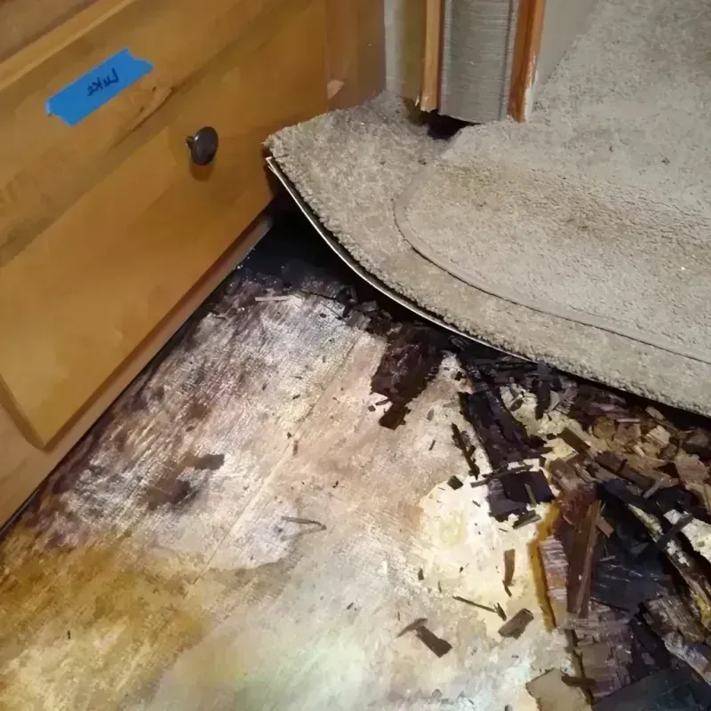 Best Wood Floor Water Damage Service in Horatio, AR